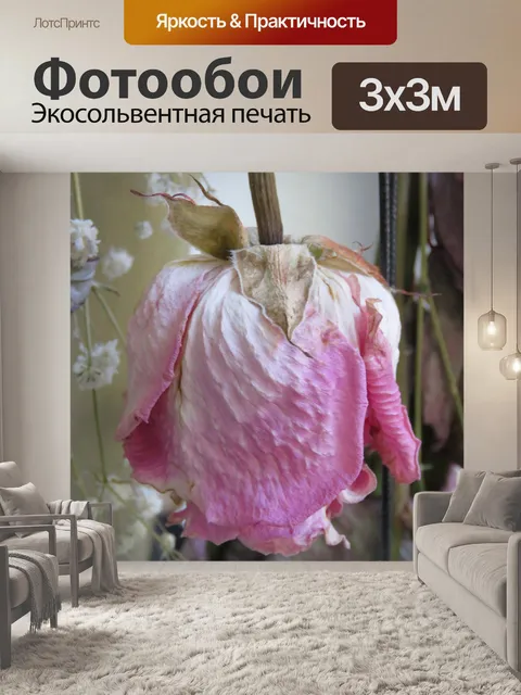 Фотообои Роуз