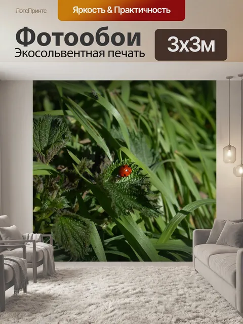 Фотообои Леди ошибка
