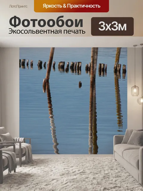 Фотообои Пирс
