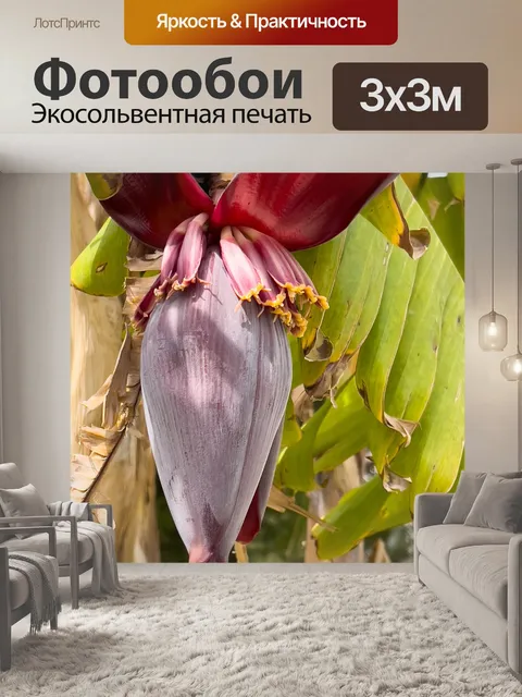 Фотообои банановый цветок