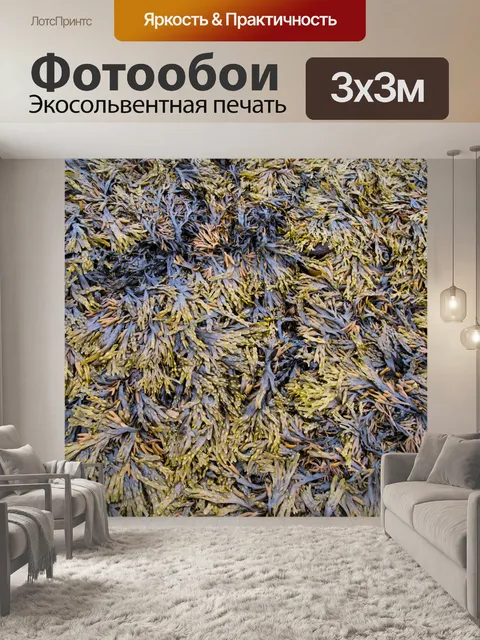 Фотообои Водоросли