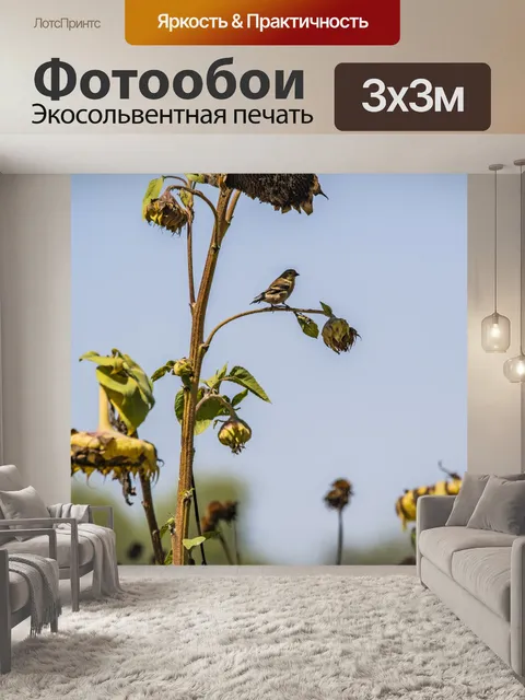 Фотообои птица на ветке подсолнечника