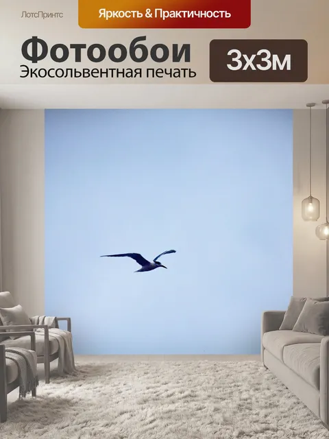 Фотообои крачка летит против неба с облаком