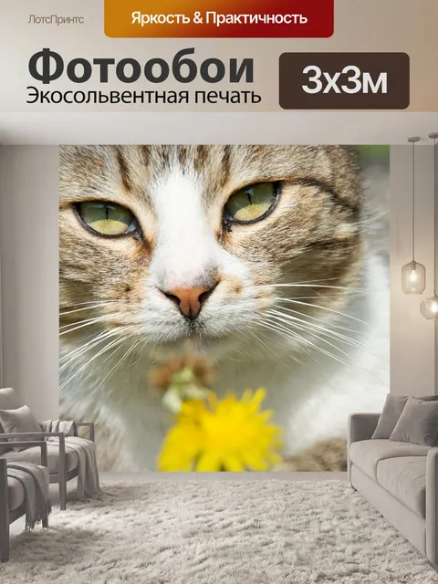 Фотообои Кошка