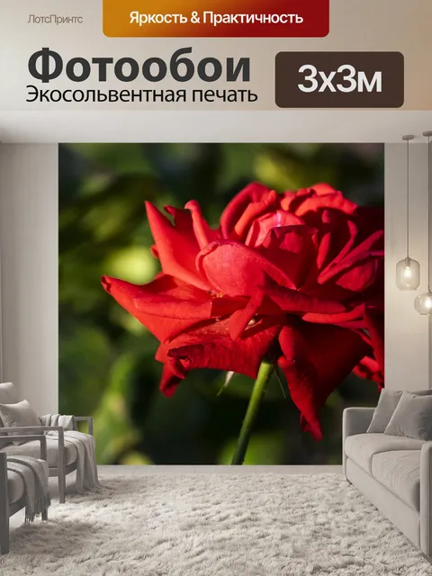 Фотообои Розовый