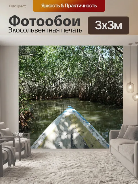 Фотообои Мангровые заросли