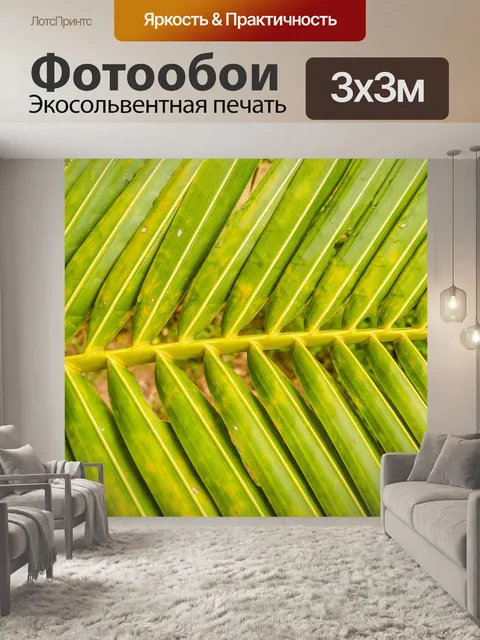 Фотообои Натуральные кокосовые листья