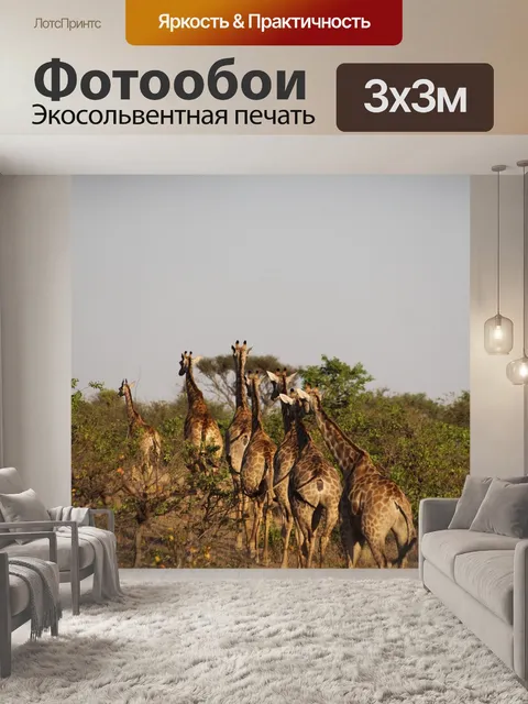 Фотообои Африке