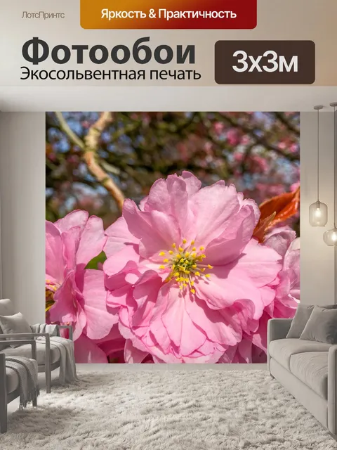 Фотообои Розовый вишневый цвет