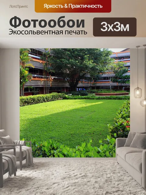 Фотообои Школа Первый