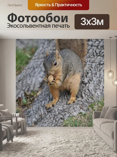 Фотообои Белка в основания дерева