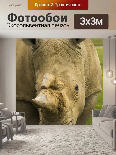Фотообои Носорог