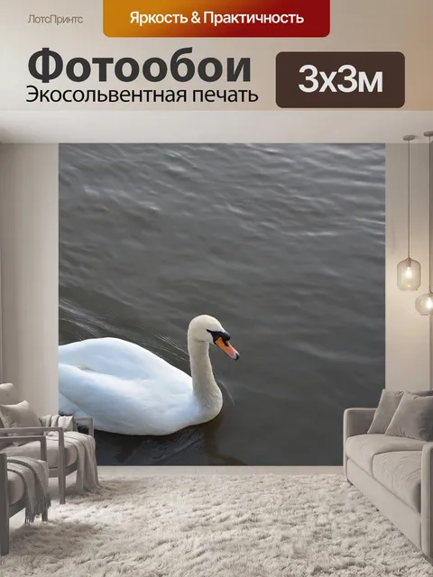 Фотообои Птицы
