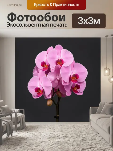 Фотообои Розовые орхидеи на темном фоне