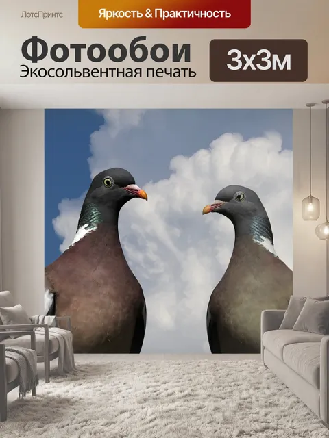 Фотообои Голуби