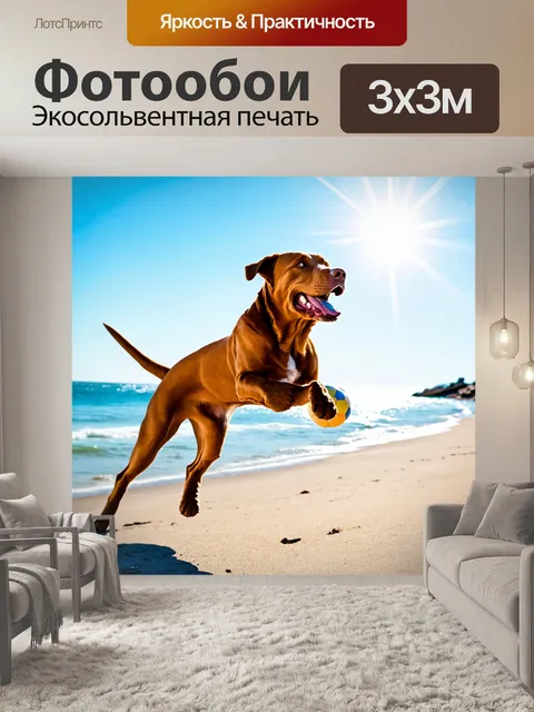 Фотообои собака лабрадор, весело прыгающая по пляжу с мячом, солнце светит ярко