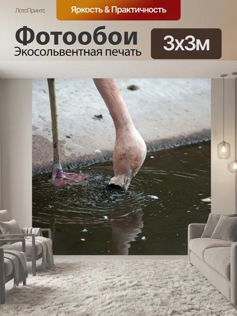 Фотообои Розовый Фламинго
