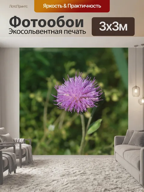 Фотообои Горный цветок