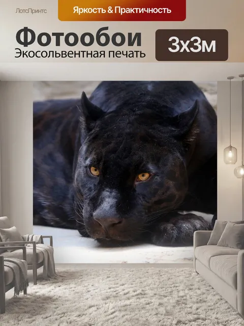 Фотообои Черная пантера