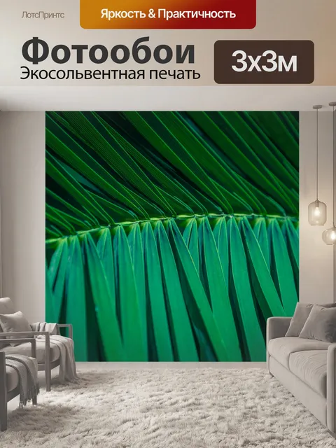 Фотообои Темный лист пальмы