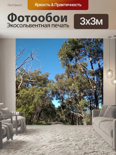 Фотообои декорации