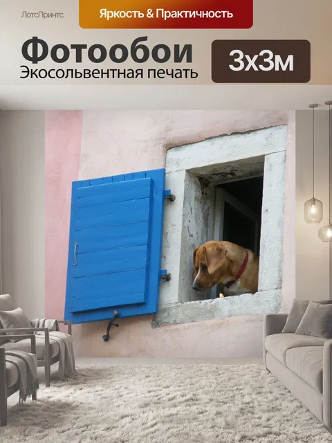 Фотообои Собака