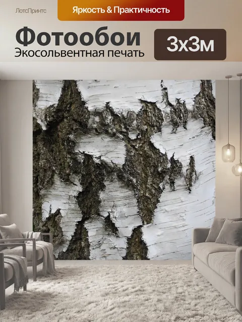 Фотообои Берёза