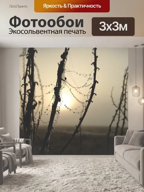 Фотообои Паутина