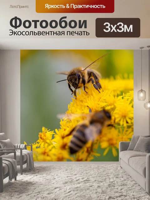 Фотообои Пчела