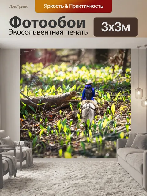 Фотообои Лошадь
