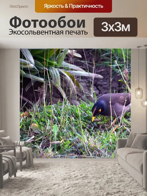 Фотообои Птицы и животные