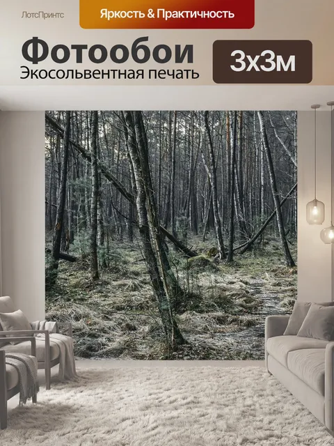 Фотообои Лес