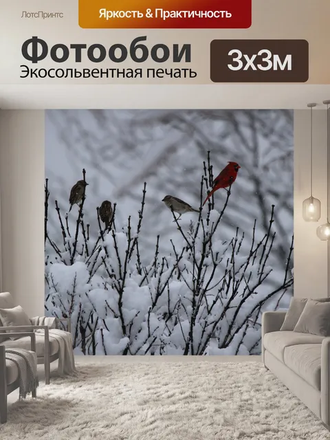 Фотообои Зима ожидания