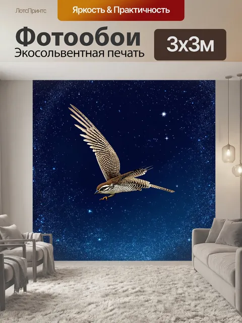 Фотообои совиный козодой в ночном небе, звезды сверкают вокруг него