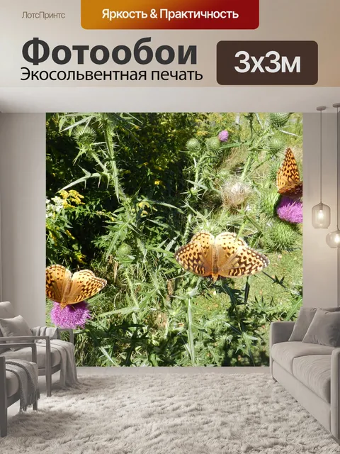 Фотообои Бабочки и цветы № 1