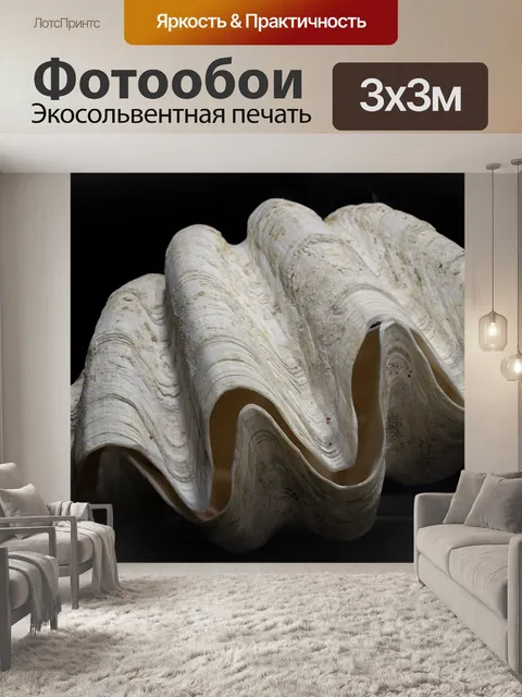 Фотообои Тридакна гигас