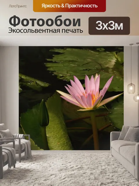 Фотообои розовая водяная лилия и крупные листья
