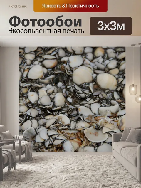Фотообои Белая окаменелая текстура раковины