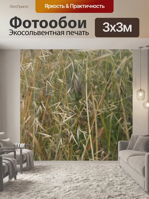 Фотообои Сухие дикие травы на лугу