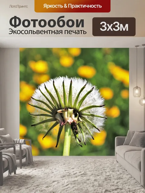 Фотообои Весна