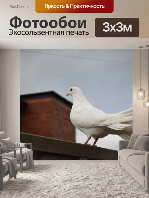 Фотообои постановка белый голубь