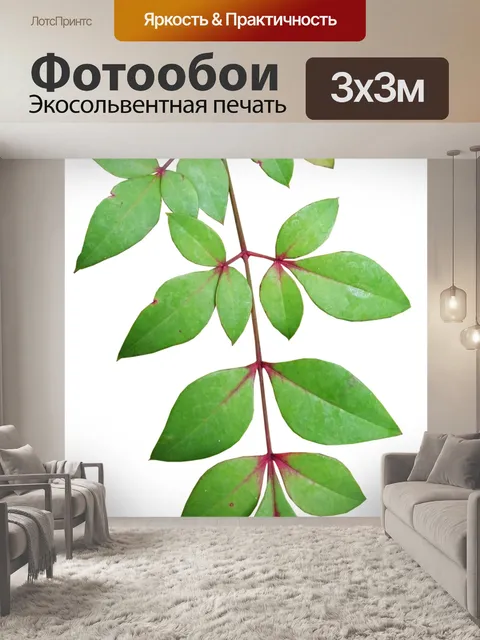 Фотообои Листья
