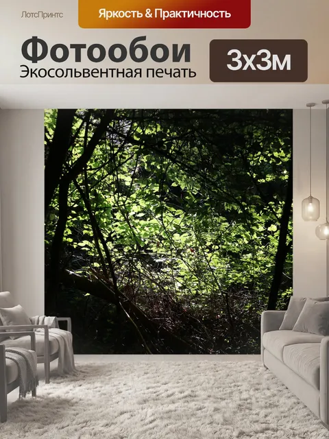 Фотообои Деревья