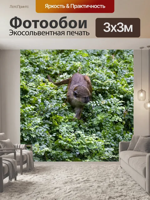Фотообои Обезьяна в кустах