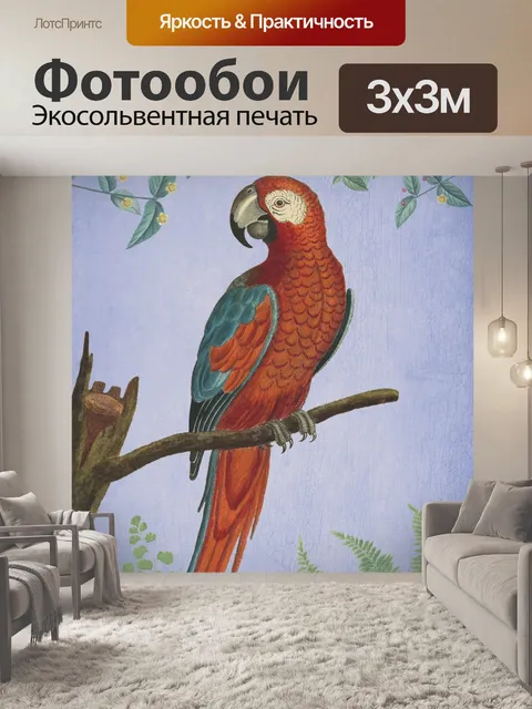 Фотообои Попугай птица старинный плакат