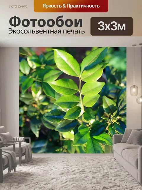 Фотообои соединение лист экзотики