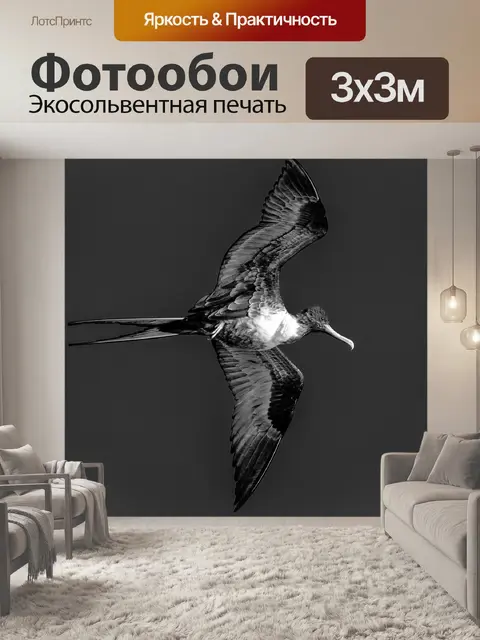 Фотообои Фрегат