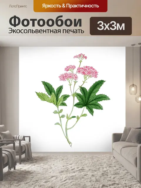Фотообои Цветок полевой цветок старинное искусств