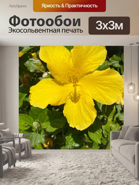 Фотообои Желтый гибискус