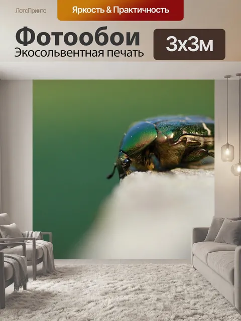 Фотообои Жук-роза